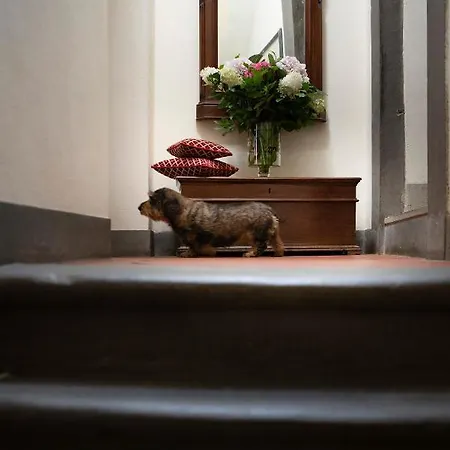 Palazzo Malaspina Bed & Breakfast